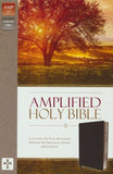 Amplified Thinline Holy Bible--bonded leather, black