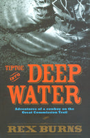 Tiptoe Into Deep Water by Rex Burns