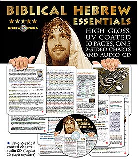 Biblical Hebrew Essentials  from Hebrew World**