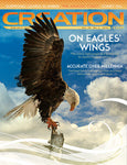 Creation Magazine:  On Eagles Wings  (Issue 38:2)