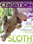 Creation Magazine: The Sloth  (Issue 38:4)