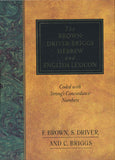Brown-Driver-Briggs Hebrew English Lexicon by Brown Driver Briggs